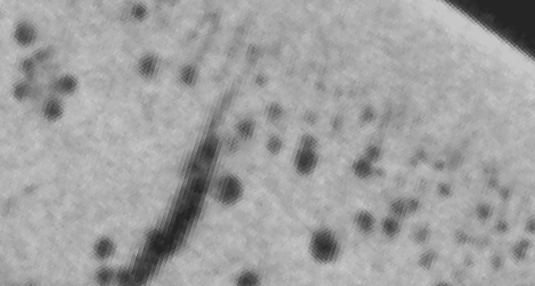 Best-in-Class Mitbewerber Scan